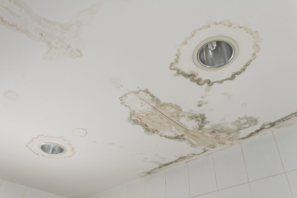 Water damage from room, forming molds