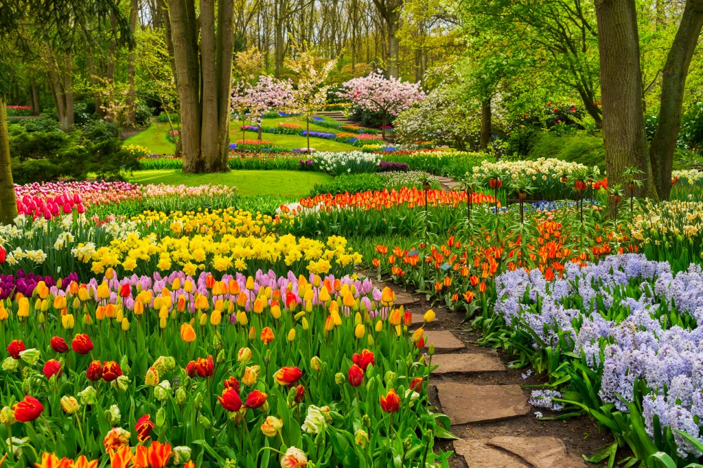 beautiful landscaping with flowers and big trees