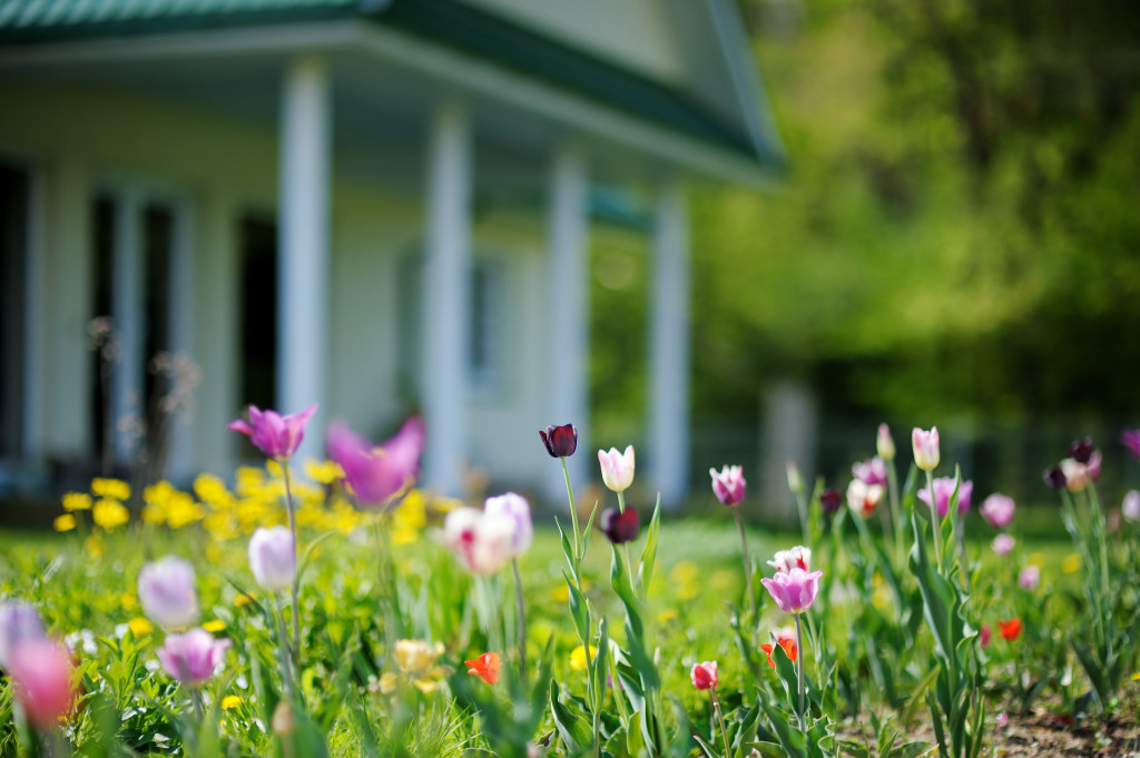 flowers with house in background blur