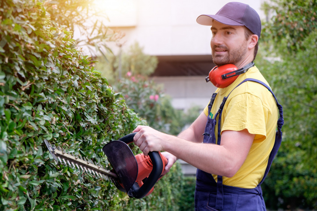 A man trimming a hedge with a hedge trimmer